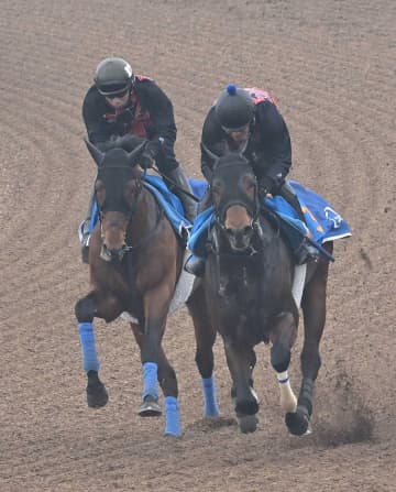 【金鯱賞】ホウオウビスケッツ　時計、動きともに文句なし　奥村武師も納得「すごくパワーアップしている気がする」