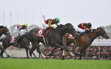 【金鯱賞】4番人気クイーンズウォークが重賞3勝目　川田「素晴らしい馬体、背中の持ち主。これからが楽しみ」