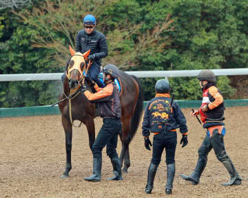 【阪神大賞典】ショウナンラプンタ初タイトル奪取だ　武豊との初コンビで善戦マン返上へ　唯一のデータ全項目クリア