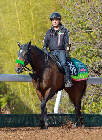 【若葉S】ジョバンニ　惜敗続きに終止符　実績は断トツ　初の阪神競馬場も杉山晴師「問題ない」