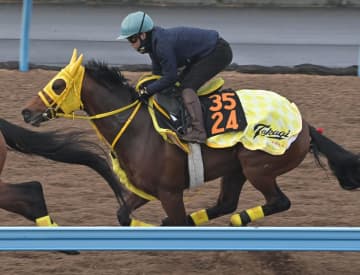 【ファルコンS】ニタモノドウシ　距離短縮歓迎　ペースに泣いた前走から反撃だ　高木師「順調に仕上がっている」