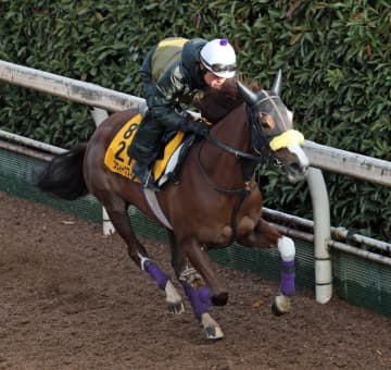 【愛知杯】スウィープフィート　鋭さ増した　切れのある脚さばき　庄野師「動きもパワフルさが増してきた」