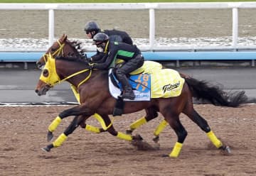 【阪神大賞典】ワープスピード　確かな脚さばきに漂う上昇ムード　追い日変更も高木師「順調」　重賞初V決めてG1舞台へ