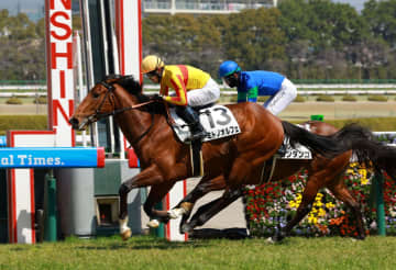 JRA初の女性調教師　前川恭子師が阪神4RでJRA初勝利「ホッとしたというのが一つ」