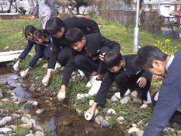 ホタルに成長が楽しみ　岐阜県各務原市の中学生や住民ら　幼虫計５００匹放流