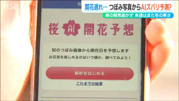 「梅は咲いたか桜はまだかいな…」話題のアプリで予想してみたら　新潟ではどちらも開花遅くなりそう