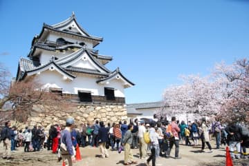 2025年版♫県外の方も必見！お花見特集！口コミ付きで紹介♫/彦根/土山/大津