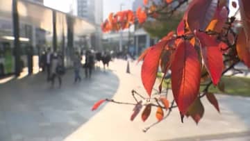 県内は日中広く晴れるが、天気は下り坂