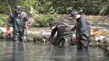 男性が公園の池を通りがかると“うつ伏せに浮いた女性の遺体” 身元不明で50-80歳位 身長150cm