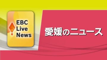 西予市で約６００戸停電　６日夜から７日未明にかけて　原因は「風雨の影響」【愛媛】