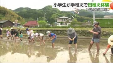泥んこに！東温の“米処”水田で小学生が田植え体験　米農家減少に「米作ってみたい子でたら」【愛媛】