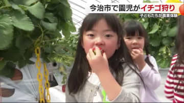 「いっぱい食べるね」今治の園児がイチゴ狩り収穫体験　観光園が招待「ファンになってほしい」【愛媛】