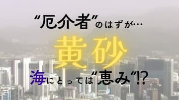 黄砂シーズン到来　“厄介者”のはずが…海にとっては“栄養源”　プランクトンに栄養素を供給し光合成を促進