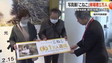 岩合光昭さんの写真展「こねこ」が来場者1万人を突破　世界各地の「こねこ」が大集合　3月30日まで福井市美術館で開催