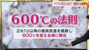 待ち遠しい桜の季節　開花の目安「600度の法則」を解説　毎日の最高気温を2月1日から積算すると福井の開花はいつになる？「天気のギモン」