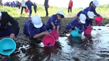 「大きくなってね！」児童がアユの稚魚を放流　別ポイントと合わせて5万匹　耳川では6月21日にアユ釣り解禁　【福井・美浜町】