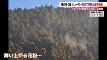 福島県で花粉の本格飛散はじまる　強い薬を処方してもらう患者が増加　ホームセンターは対策グッズが充実