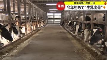 地震で牛舎が傾き…被災した牧場が再出発　今年初めて生乳を出荷　石川・珠洲市