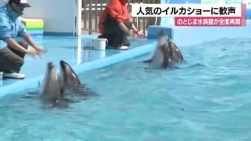 イルカショー完全再開に歓声！地震から復活したのとじま水族館