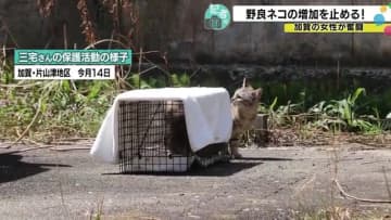 「命の大切さはどんな生き物も平等」移住して野良ネコをこれ以上増やさないよう奮闘する加賀市の女性の思い