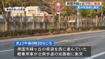 軽乗用車が街路樹に衝突　運転の52歳男性死亡【高知・南国市】