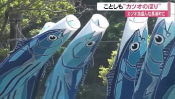 【高知】“カツオ空を泳ぐ”「初めて見ました」黒潮町伊与木川の上に《カツオのぼり》