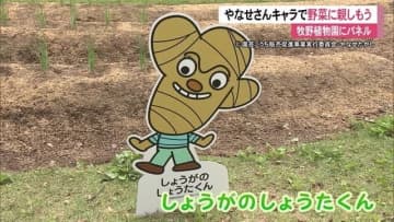 ニラやしょうががキャラクターに！牧野植物園でやなせたかしさんのキャラと実物の野菜がコラボ