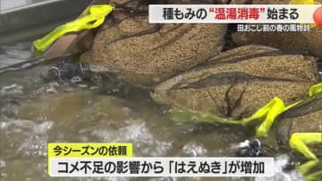 【山形】田おこし前の春の風物詩・種もみの“温湯消毒”始まる　コメ不足の影響ではえぬきの依頼増　鶴岡市