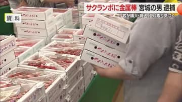 【山形】東根市の産直施設サクランボに金属棒　宮城県の男を逮捕