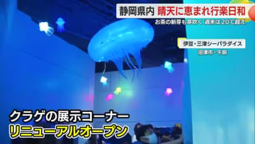 行楽日和でにぎわい　水族館でクラゲの展示コーナーリニューアル　春の便り・お茶の新芽も