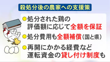 元に戻るには1年半－2年程度か…鳥インフルエンザ“制限解除”も養鶏農家の終わらない苦しみ