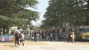 桜まつりには半袖姿の人も…22日の東海3県は各地で最高気温20度超 名古屋では4月下旬並みの22.3度まで上昇