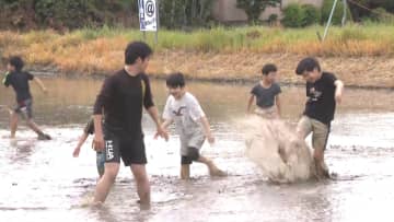 地元の農家が先生役に…小学生が手作業での田植えを体験 泥遊びでは元気に走り回り泥だらけに 愛知県岡崎市