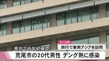 荒尾市の２０代男性 デング熱に感染 県内で今年初確認【熊本】