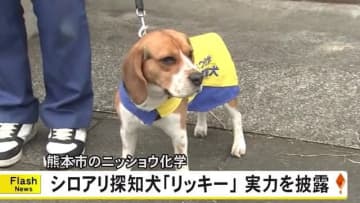 シロアリ探知犬「リッキー」実力を披露【熊本】