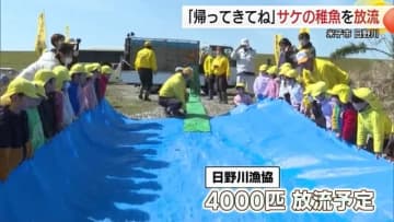 「大きくなったらまた会いたいな」園児が日野川にサケの稚魚放流「自然を大切にする心育んで」（鳥取）