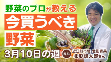 【今買うべき野菜は？】3/10の週 大根・キャベツ価格が下落 きゅうり・なすが安定 春野菜も続々入荷