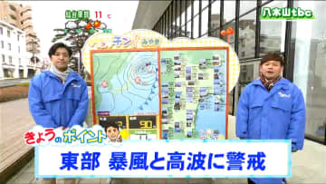 「東部は夕方まで暴風に警戒　花粉も大量飛散」17日　宮城の天気　tbc気象台