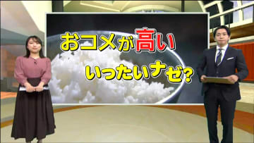 おコメが高い！令和のコメ騒動…火種は昭和に？半世紀に及ぶ”減反政策”の代償「需給管理は綱渡り。何かあるとすぐコメ不足に陥る可能性があった」