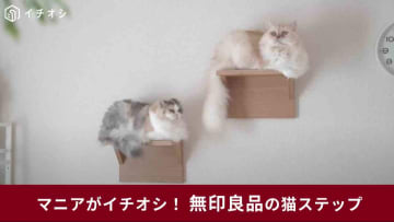 【無印良品】の神アイテムがニャンともうれしい～！「壁に付けられる家具猫用ステップ」は賃貸もOK！設置も簡単