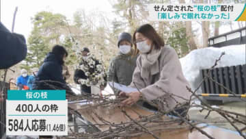 弘前公園・せん定された“桜の枝”配付　「楽しみで眠れなかった」