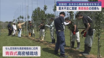 台木から高密植栽培を学ぶ　りんご苗木不足に貢献　柏木農業高校／青森