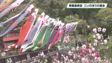 5月5日の「こどもの日」まであと1週間　板室温泉こいのぼり　51匹が那珂川上空をたくましく泳ぐ