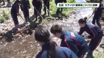 義務教育学校の生徒　ウグイの産卵床づくりに挑戦！　那須塩原