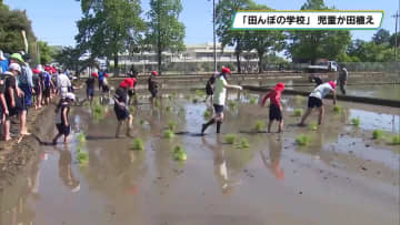 小山市の穂積小学校で「田んぼの学校」が開校　地域の人たちと協力して米作りを学ぶ　7日は田植えを実施