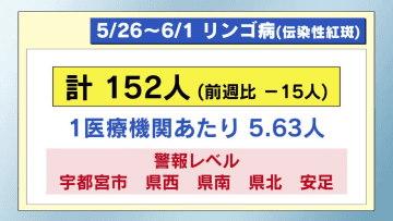 リンゴ病　警報レベル続く　栃木県