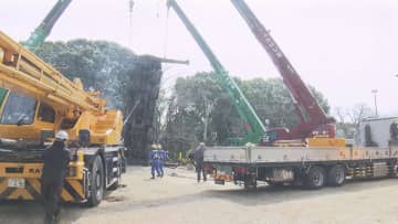 比治山公園　転倒のクレーン車 引き上げ作業続く　広島市