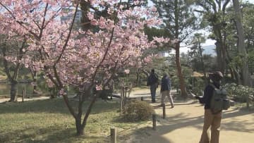 広島県内で２０℃超える春の陽気　ソメイヨシノ開花宣言はいつ？