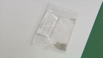 大麻「使用」疑いで１８歳の男が県内初逮捕　去年１２月から使用も違法に　広島