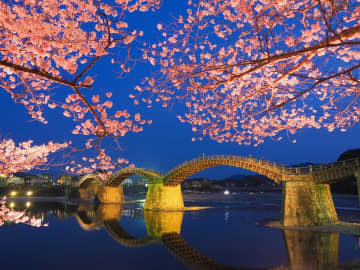 【桜の開花宣言日～】山口県岩国市の「錦帯橋の桜ライトアップ」がはじまる！春だけの特別な景色を楽しんで（※3月下旬ごろからの予定）